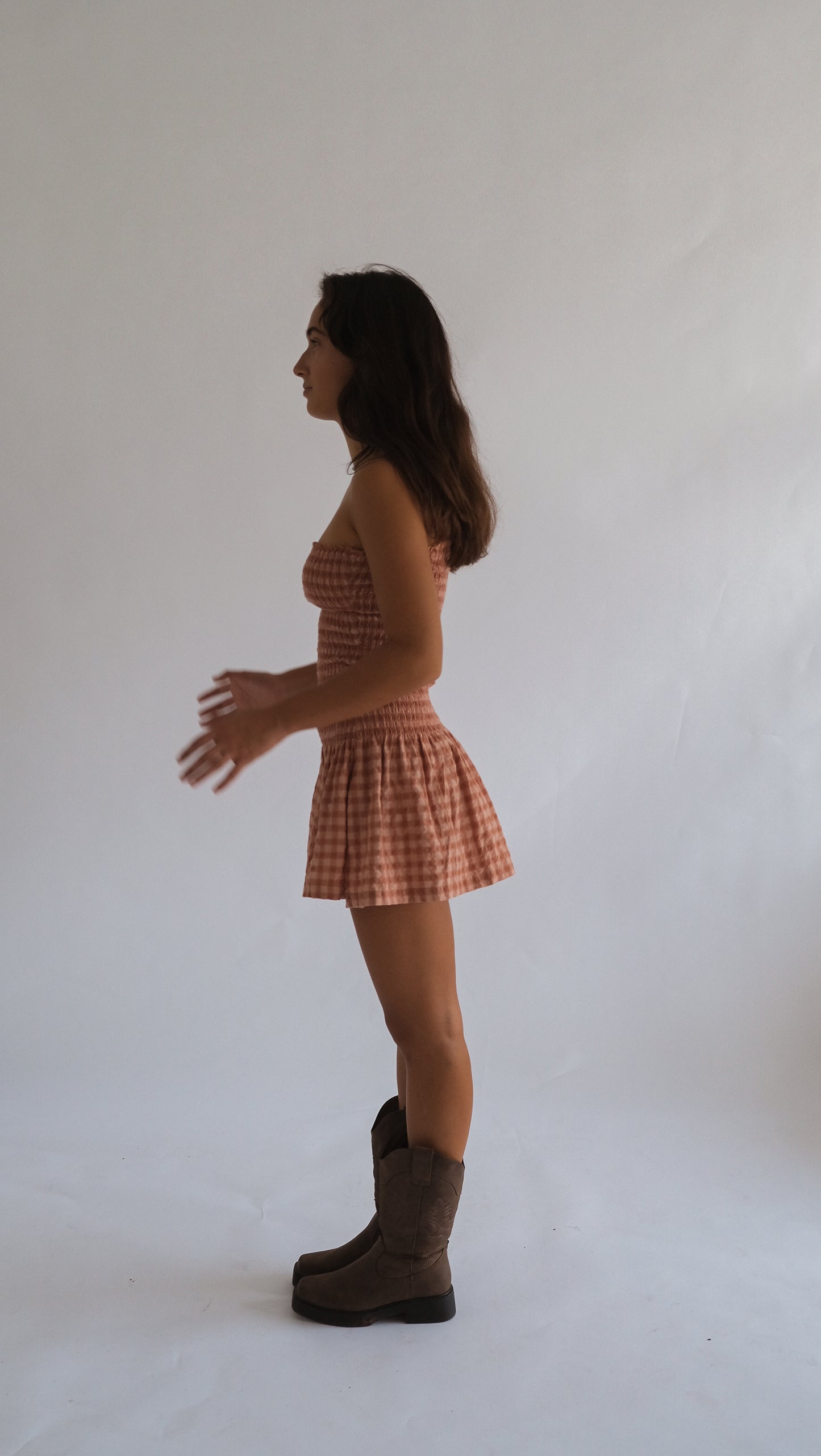 The Stevie dress (Ballet gingham)